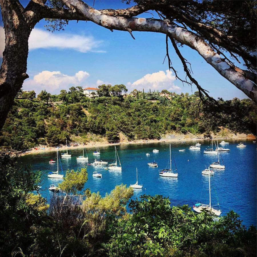 Superbe T2 2 Pas Des Plages Entierement Desinfinté Entre Chaque Location Toulon